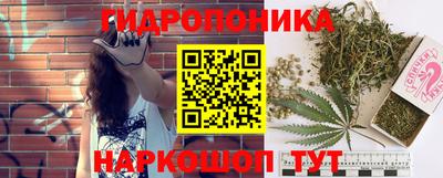 прущие крисы Кимры
