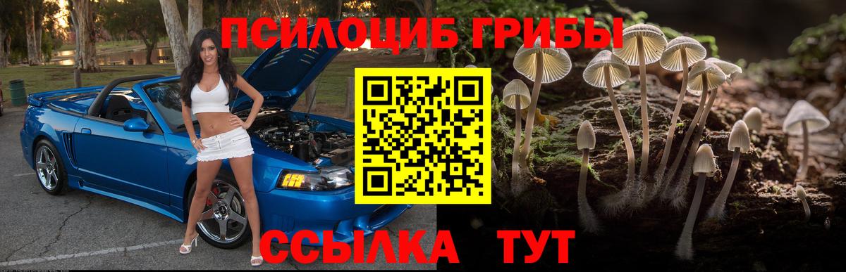 Псилоцибиновые грибы Magic Shrooms Крымск